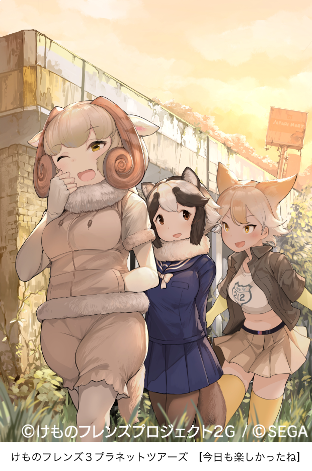 3girls animal_ears arms_behind_back black_hair blonde_hair blue_skirt bow bowtie brown_eyes brown_legwear building collared_jacket convenience_store coyote_(kemono_friends) coyote_ears evening extra_ears eyebrows_visible_through_hair fur_collar fur_trim hand_in_pocket horns impossible_clothes impossible_shirt jacket kemono_friends kemono_friends_3:_planet_tours koruse looking_at_another miniskirt multicolored_hair multiple_girls official_art one_eye_closed outdoors pantyhose pleated_skirt raccoon_ears raccoon_tail school_uniform serafuku sheep_(kemono_friends) sheep_ears sheep_horns sheep_tail shirt shop short_hair short_sleeves shorts skirt sky smile tail tanuki_(kemono_friends) thigh-highs translated two-tone_hair watermark white_hair white_legwear white_neckwear yawning yellow_eyes yellow_legwear zettai_ryouiki