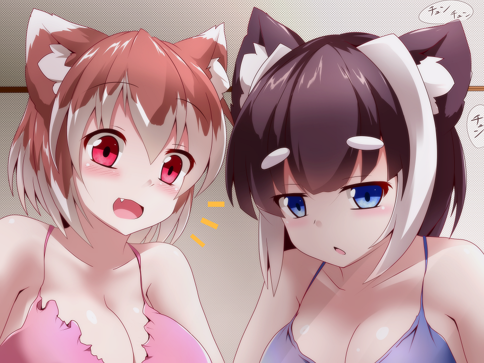 /\/\/\ 2girls animal_ear_fluff animal_ears black_hair blue_eyes blush breasts cleavage commentary_request dog_ears dog_girl eyebrows_visible_through_hair fang jitome looking_at_viewer multicolored_hair multiple_girls open_mouth orange_hair original red_eyes sivamaron spaghetti_strap streaked_hair thick_eyebrows two-tone_hair white_hair