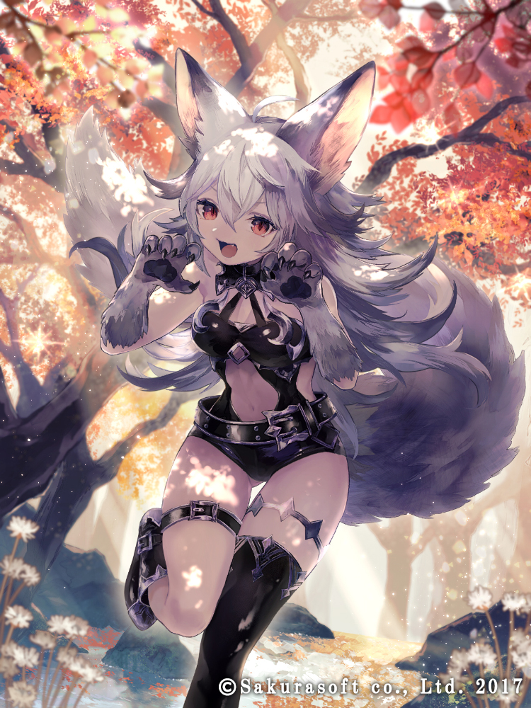 1girl 2017 animal_ears arms_up ass_visible_through_thighs autumn autumn_leaves belt black_footwear black_legwear black_leotard boots center_opening character_request claw_pose claws commentary_request dated fang forest latex leg_up leotard long_hair natsuiro_xx nature navel official_art open_mouth outdoors red_eyes silver_hair single_thighhigh solo standing standing_on_one_leg tail teikoku_senki thigh-highs thigh_strap tree wolf_ears wolf_tail