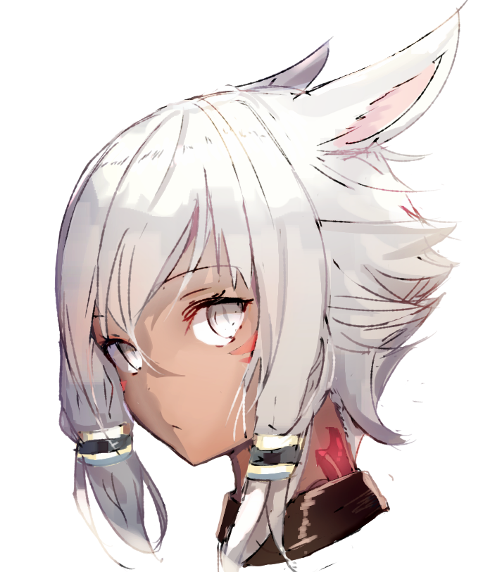 1girl animal_ears bangs cat_ears closed_mouth dark_skin facial_mark final_fantasy final_fantasy_xiv hair_between_eyes hair_tubes looking_at_viewer medium_hair portrait simple_background solo tota_(sizukurubiks) upper_body white_background white_eyes white_hair y'shtola_rhul