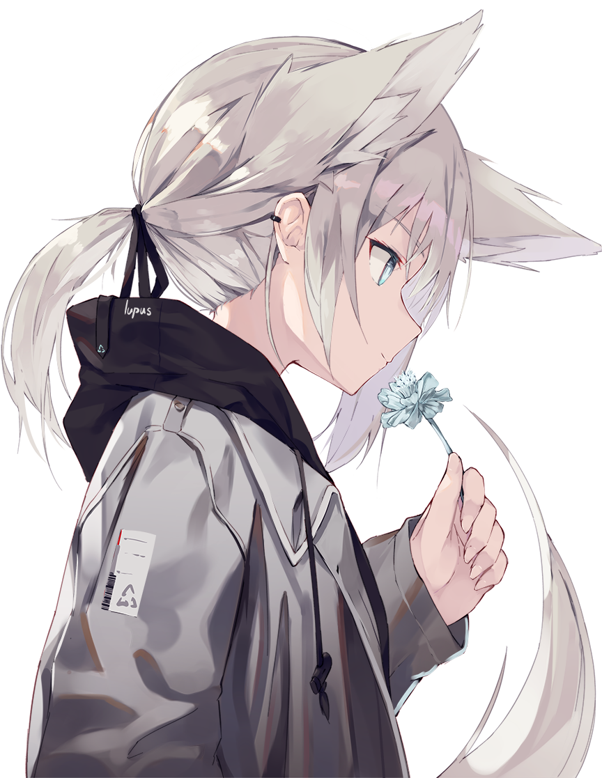 1girl animal_ears aqua_eyes black_hoodie drawstring extra_ears flower grey_jacket hair_ribbon holding holding_flower hood hood_down jacket light_smile long_sleeves medium_hair nagishiro_mito original recycling_symbol ribbon short_ponytail silver_hair tail tied_hair wolf_ears wolf_tail