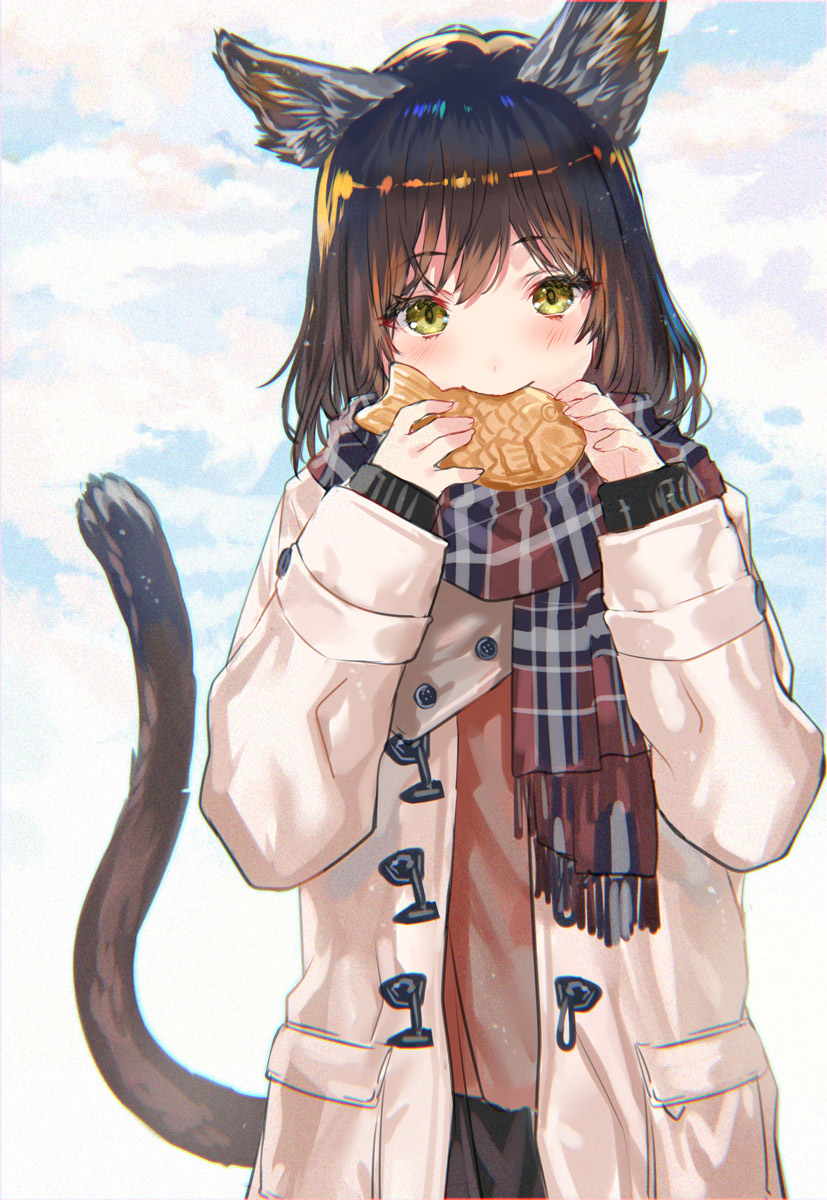 1girl animal_ears bangs black_hair blush cat_ears cat_tail clouds coat commentary_request day duffel_coat eating eyebrows_visible_through_hair food green_eyes highres holding holding_food long_hair long_sleeves looking_at_viewer open_clothes open_coat original outdoors plaid plaid_scarf ran'ou_(tamago_no_kimi) scarf sky solo tail taiyaki upper_body wagashi winter_clothes winter_coat