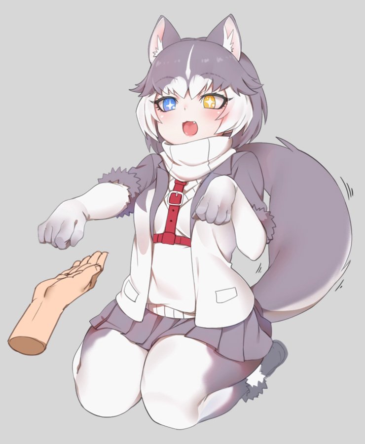 +_+ 1girl :3 animal_ear_fluff animal_ears blue_eyes boots commentary_request disembodied_limb dog_(mixed_breed)_(kemono_friends) dog_ears dog_tail elbow_gloves eyebrows_visible_through_hair fang fur_trim gloves gradient_gloves gradient_legwear grey_gloves grey_hair grey_legwear harness heterochromia jacket kemono_friends multicolored multicolored_clothes multicolored_gloves multicolored_hair nyifu open_mouth pantyhose paw_pose pleated_skirt scarf seiza short_hair short_sleeves sitting skirt solo sweater tail white_gloves white_hair white_legwear yellow_eyes