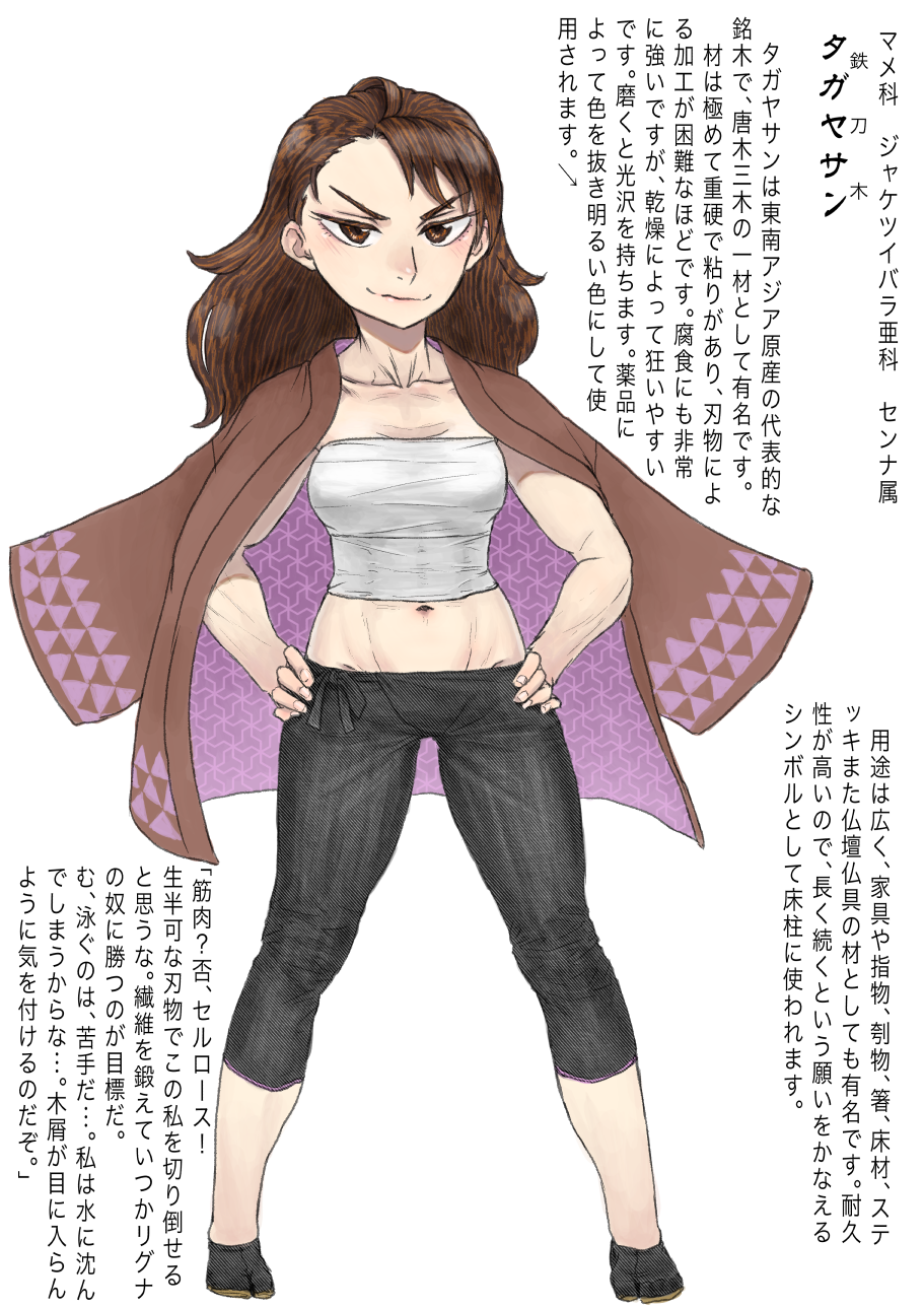 1girl abs character_profile comic highres kishida_shiki midriff muscle navel original personification simple_background translation_request white_background wood_gradient_hair