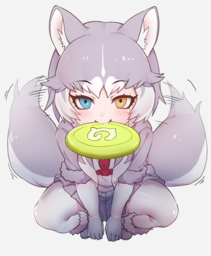 1girl afterimage animal_ear_fluff animal_ears between_legs blue_eyes boots commentary_request dog_(mixed_breed)_(kemono_friends) dog_ears dog_tail elbow_gloves eyebrows_visible_through_hair fang frisbee fur_trim gloves grey_hair hand_between_legs harness heterochromia jacket japari_symbol kemono_friends multicolored_hair nyifu pantyhose pleated_skirt short_hair short_sleeves skirt solo squatting tail tail_wagging white_hair yellow_eyes