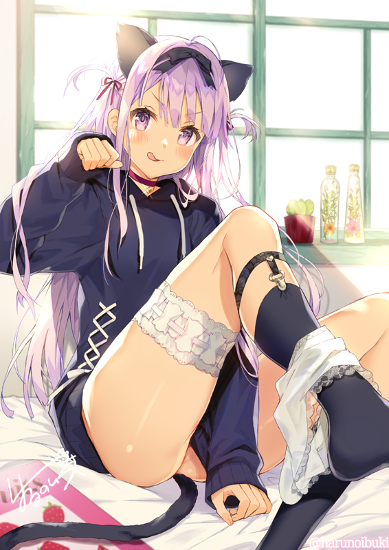 1girl :p ahoge animal_ears ass between_legs black_bow black_legwear black_sweater blush bottle bow cat_ears cat_girl cat_tail choker commentary_request day dress flower food_print glint hair_bow hair_ribbon hand_up harunoibuki hood hood_down indoors kneehighs knees_up lace_trim leg_belt leg_garter long_hair long_sleeves looking_at_viewer orange_flower original panties panties_around_leg pink_flower plant potted_plant purple_hair ribbon sidelocks signature sitting sleeves_past_wrists smile solo strawberry_print sunlight sweater sweater_dress tail thighs tongue tongue_out twitter_username two_side_up underwear v-shaped_eyebrows violet_eyes white_panties window