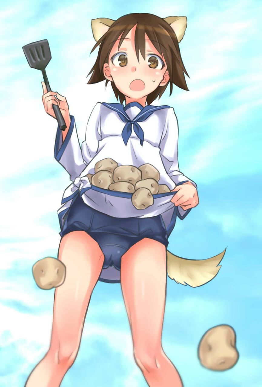 1girl :o animal_ears aohashi_ame blouse blue_sky blurry blurry_foreground brown_eyes brown_hair clouds cloudy_sky commentary_request crotch_seam day depth_of_field eyebrows_visible_through_hair gluteal_fold highres holding_spatula long_sleeves miyafuji_yoshika navy_blue_neckwear neckerchief open_mouth outdoors potato sailor_collar school_swimsuit school_uniform shirt_basket short_hair sky solo spatula strike_witches swimsuit swimsuit_under_clothes tail thighs white_blouse world_witches_series