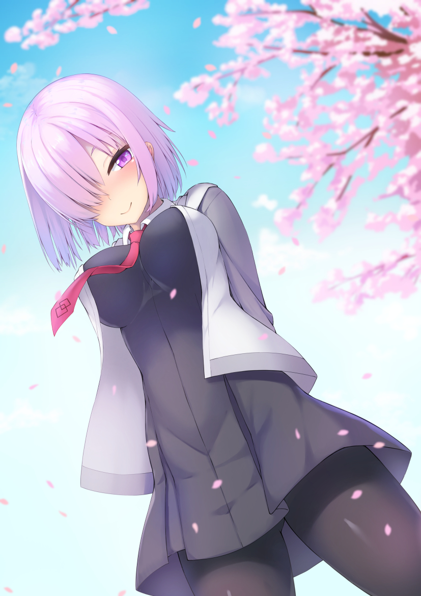 1girl arms_behind_back ass_visible_through_thighs bangs black_dress black_legwear blue_sky blurry blush breasts cherry_blossoms closed_mouth collared_dress commentary_request cowboy_shot day depth_of_field dress fate/grand_order fate_(series) grey_jacket hair_over_one_eye hood hood_down hooded_jacket jacket large_breasts lavender_hair long_sleeves looking_at_viewer mash_kyrielight necktie open_clothes open_jacket outdoors pantyhose petals pleated_dress red_neckwear short_hair sidelocks sky smile solo standing tatsumiya_kagari tree_branch uniform violet_eyes