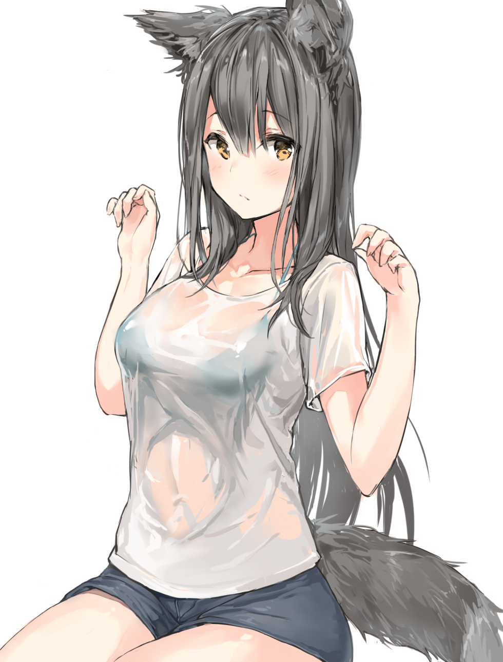 1girl animal_ear_fluff animal_ears bangs black_bra black_shorts blush bra bra_through_clothes breasts brown_eyes closed_mouth collarbone commentary_request eyebrows_visible_through_hair grey_hair hair_between_eyes hands_up highres hinako_(anzu15) long_hair looking_at_viewer medium_breasts original see-through shirt short_shorts short_sleeves shorts simple_background sitting solo tail underwear very_long_hair wet wet_clothes wet_shirt white_background white_shirt wolf_ears wolf_tail