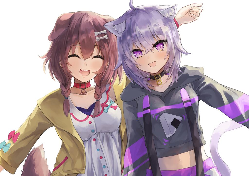 2girls ahoge animal_ears arm_up blush bone_hair_ornament braid breasts brown_hair cat_ears cat_tail closed_eyes collar collarbone commentary_request dog_ears dog_tail hololive inugami_korone jacket konkito medium_breasts medium_hair midriff multiple_girls navel nekomata_okayu open_mouth purple_hair simple_background tail twin_braids violet_eyes virtual_youtuber white_background