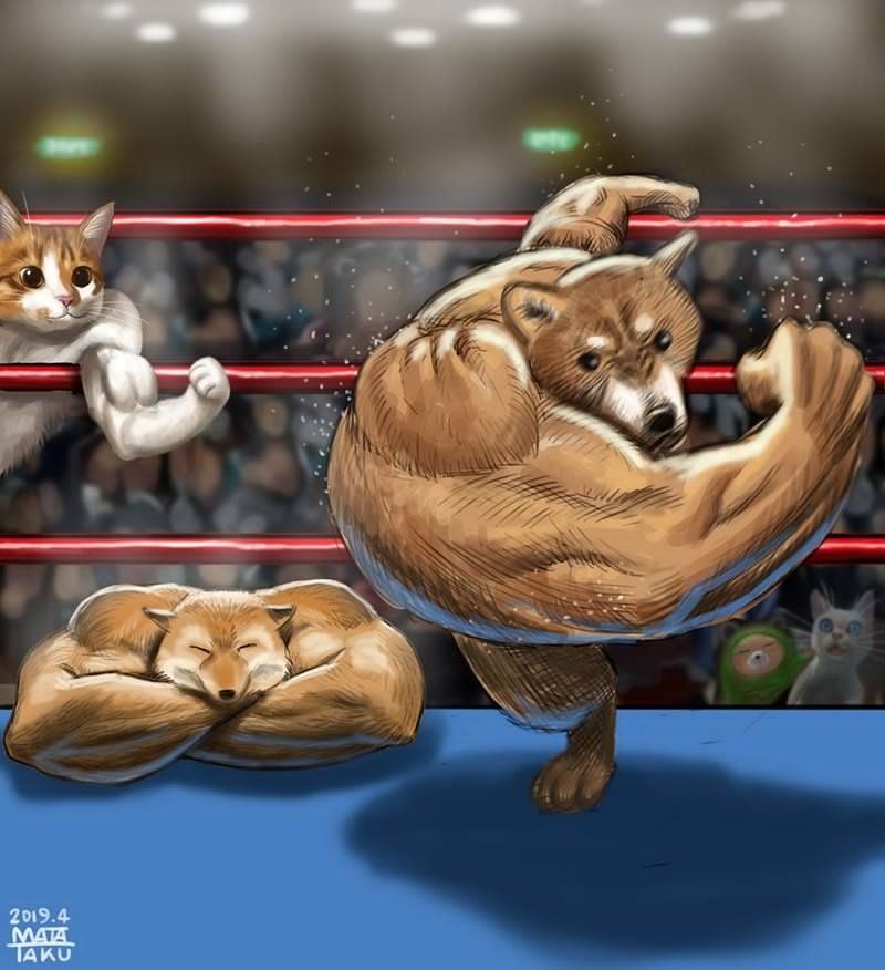 2019 action animal animal_focus cat check_commentary closed_eyes commentary_request crossed_arms crowd dog flexing fox furry matataku md5_mismatch meme muscle muscle_fox pose punching right-hook_dog shiba_inu twitter wrestling_ring