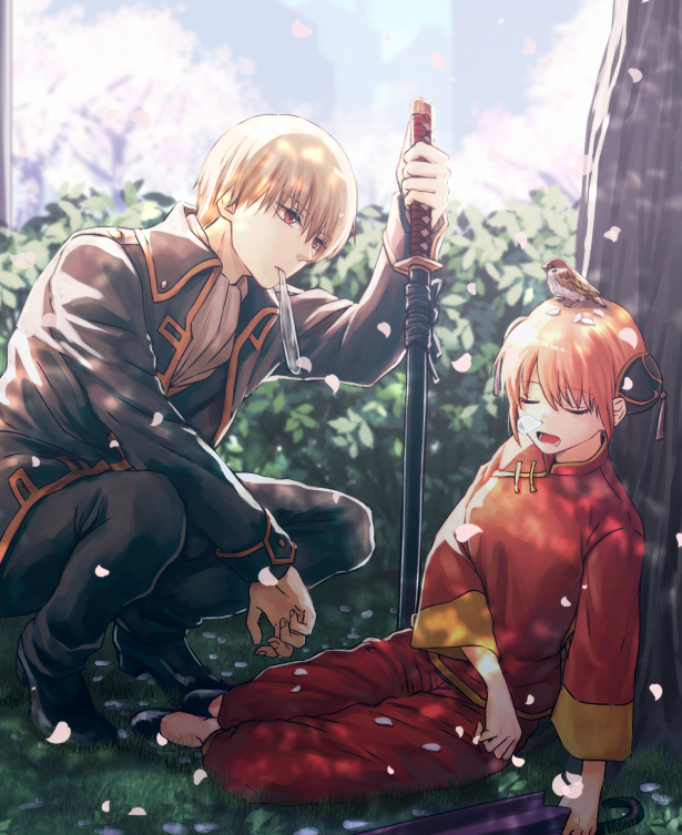 1boy 1girl against_tree animal animal_on_head bird bird_on_head black_footwear black_jacket black_pants brown_hair closed_umbrella day double_bun drooling from_side gintama holding holding_sword holding_umbrella holding_weapon jacket kagura_(gintama) long_sleeves mouth_hold okita_sougo on_head open_mouth orange_hair oriental_umbrella outdoors pants petals purple_umbrella red_eyes red_pants red_shirt shirt short_hair sitting sleeping sneezing squatting sword szzz_k tree umbrella weapon white_neckwear