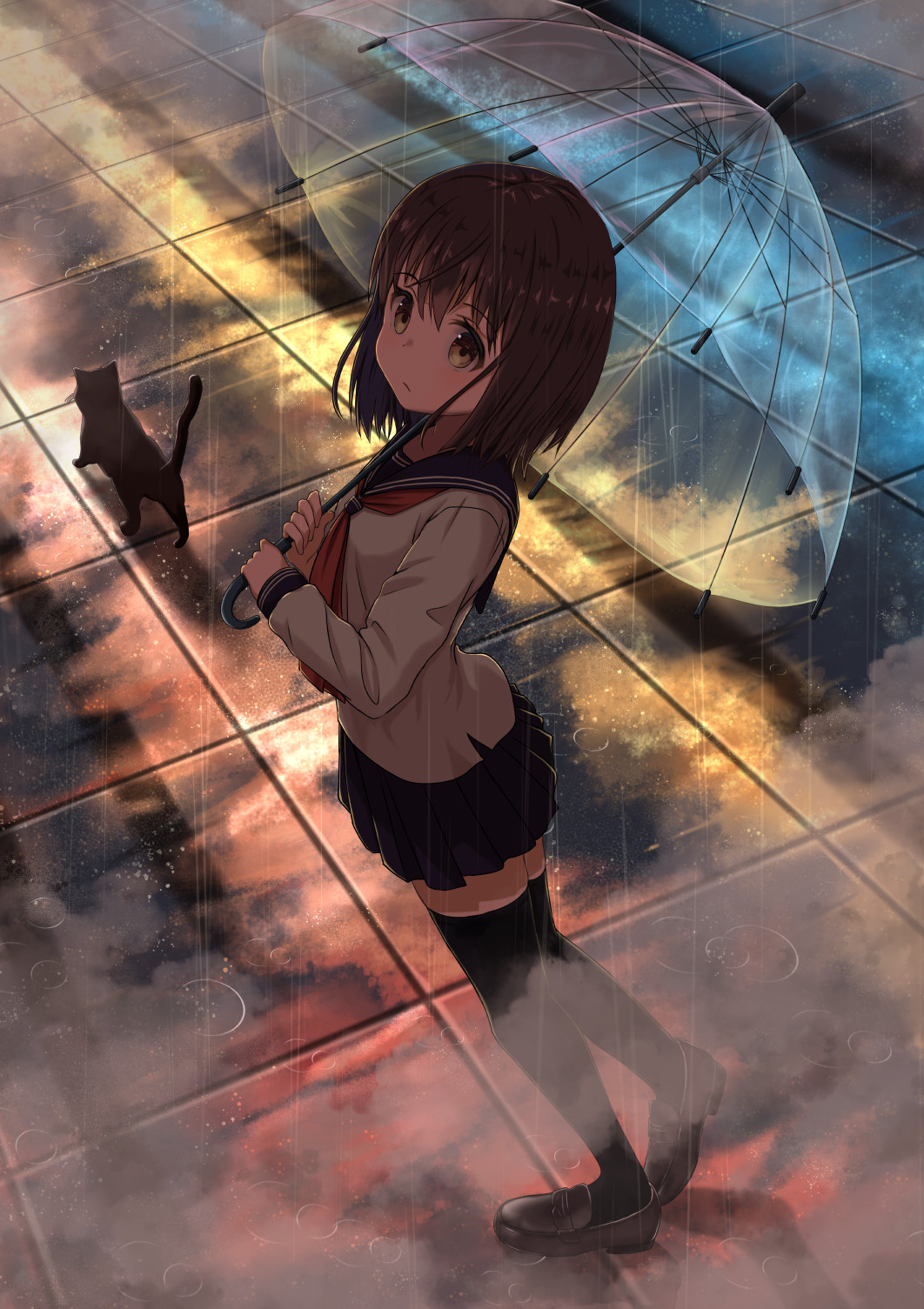 1girl animal black_cat black_legwear blue_sailor_collar blue_skirt brown_eyes brown_footwear brown_hair cat closed_mouth from_above full_body highres holding holding_umbrella light_frown loafers long_sleeves looking_at_viewer mimikaki_(men_bow) miniskirt neckerchief original outdoors pleated_skirt rain red_neckwear reflective_floor sailor_collar school_uniform serafuku shadow shirt shoes short_hair skirt solo standing thigh-highs tile_floor tiles transparent transparent_umbrella twilight umbrella water white_shirt zettai_ryouiki