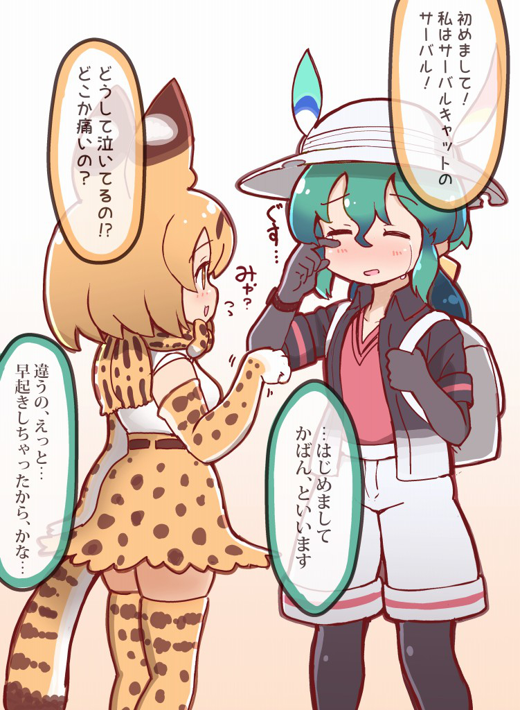 2girls animal_ears backpack bag black_gloves black_legwear blonde_hair bow bowtie closed_eyes commentary elbow_gloves eyebrows_visible_through_hair facing_another gloves gradient gradient_background green_hair hair_between_eyes hat hat_feather high-waist_skirt holding_strap jacket kaban_(kemono_friends) kemono_friends legwear_under_shorts long_hair looking_at_another multicolored_hair multiple_girls open_clothes open_jacket pantyhose ponytail print_gloves print_legwear print_skirt red_shirt serval_(kemono_friends) serval_ears serval_print serval_tail shirt short_hair short_sleeves shorts simple_background skirt speech_bubble spoilers tail tanaka_kusao tears thigh-highs translated white_shirt wiping_tears zettai_ryouiki