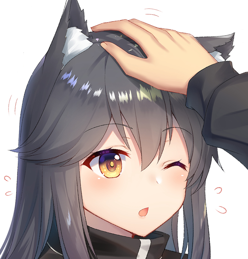 1girl ;o animal_ear_fluff animal_ears arknights bencao_gangmu_(19) blush brown_eyes eyebrows_visible_through_hair flying_sweatdrops grey_hair hair_between_eyes long_hair long_sleeves motion_lines one_eye_closed open_mouth petting simple_background solo_focus tareme texas_(arknights) upper_body white_background