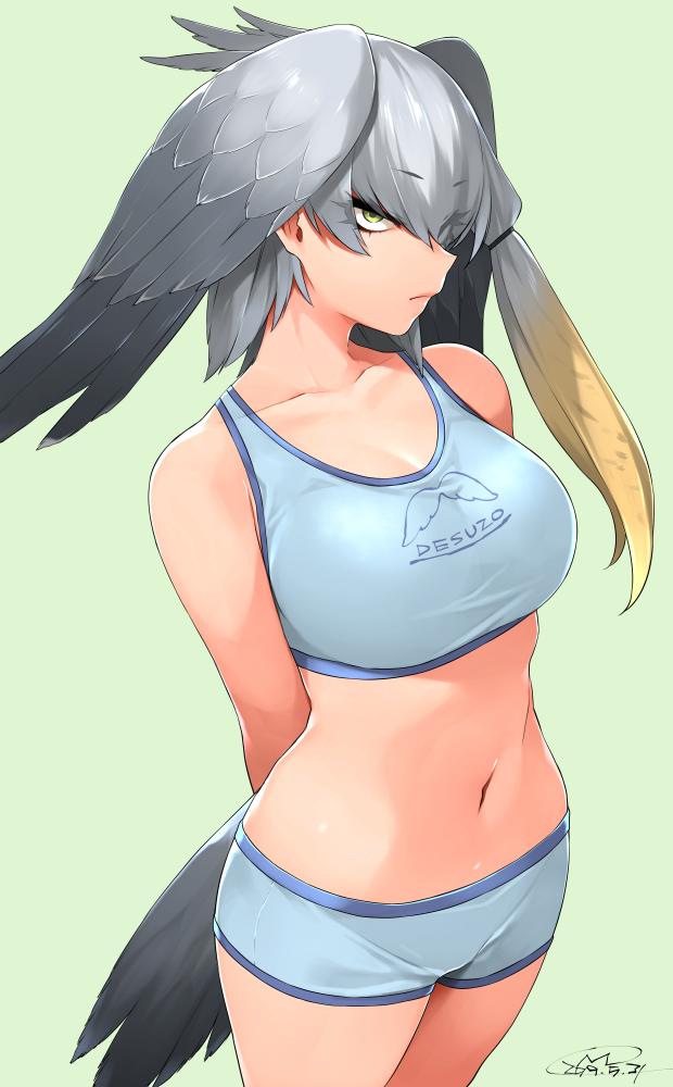 1girl arms_behind_back bird_tail blue_bra blue_shorts boyshorts bra breasts closed_mouth clothes_writing collarbone commentary cowboy_shot dated eyebrows_visible_through_hair eyes_visible_through_hair frown green_background green_eyes grey_hair happa_(cloverppd) head_wings kemono_friends large_breasts looking_at_viewer midriff navel sanpaku shoebill_(kemono_friends) shorts signature simple_background single_sidelock solo sports_bra standing tail tsurime underwear underwear_only