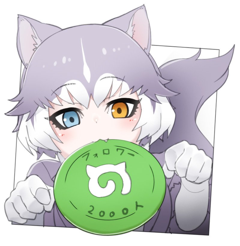 1girl animal_ears blue_eyes brown_eyes closed_mouth dog_(mixed_breed)_(kemono_friends) dog_ears dog_tail elbow_gloves eyebrows_visible_through_hair fang frisbee gloves grey_hair heterochromia japari_symbol kemono_friends looking_at_viewer mouth_hold multicolored_hair nyifu short_hair solo tail translated white_gloves white_hair