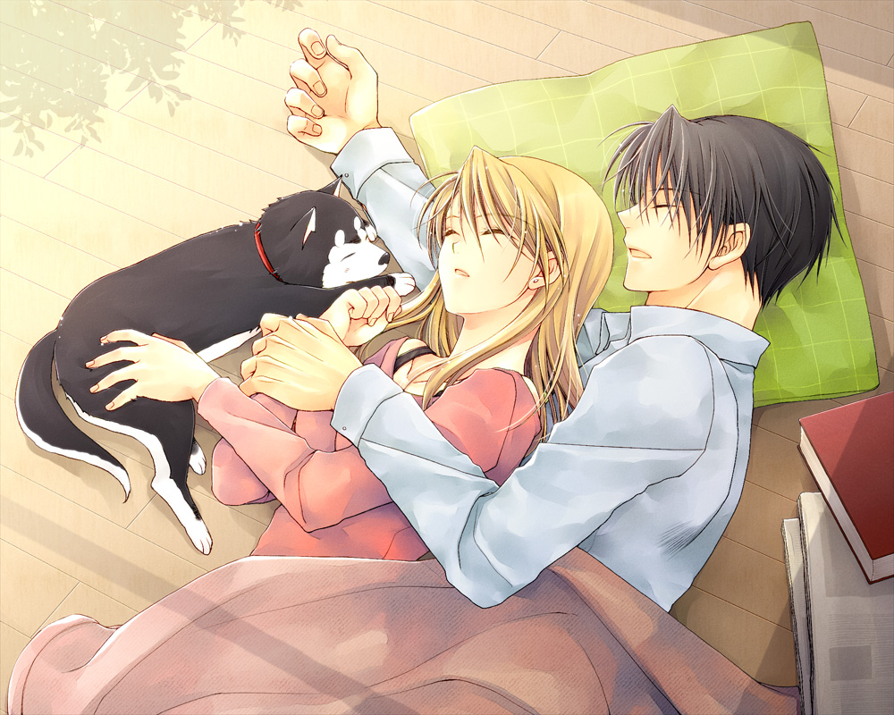 1boy 1girl black_hair blonde_hair book closed_eyes collared_shirt couple dog dress_shirt earrings from_above fullmetal_alchemist green_pillow jewelry long_hair long_sleeves lying on_side pink_shirt riza_hawkeye roy_mustang shirt sleeping takafuji_yuna under_covers white_shirt wing_collar wooden_floor