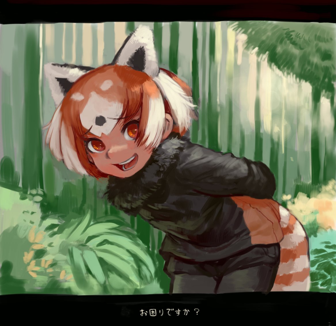 1girl :d animal_ears arms_behind_back bamboo bamboo_forest black_legwear black_shorts brown_hair commentary extra_ears eyebrows_visible_through_hair forest fur_collar grass handsdsds kemono_friends leaning_forward legwear_under_shorts lesser_panda_(kemono_friends) letterboxed looking_at_viewer multicolored_hair nature open_mouth orange_eyes pantyhose red_panda_ears red_panda_tail short_hair shorts smile solo striped_tail tail translated two-tone_hair white_hair