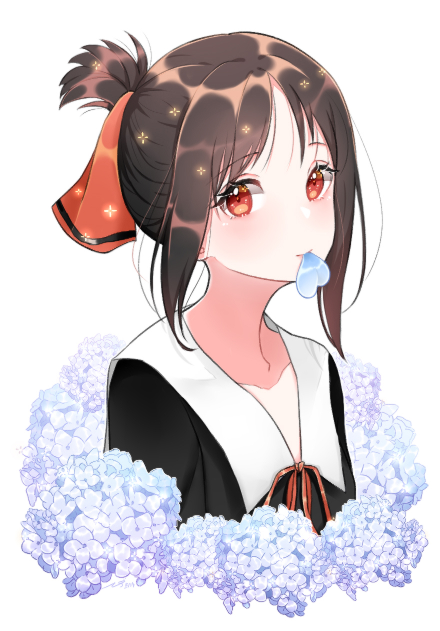 1girl black_shirt brown_hair collarbone flower hige_(693273545) highres kaguya-sama_wa_kokurasetai_~tensai-tachi_no_renai_zunousen~ looking_at_viewer mouth_hold neck_ribbon red_eyes red_ribbon ribbon sailor_collar shinomiya_kaguya shiny shiny_hair shirt short_hair short_ponytail sidelocks simple_background solo upper_body white_background white_flower white_sailor_collar