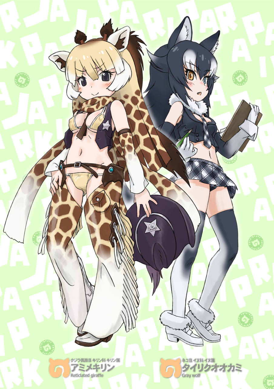 2girls adapted_costume alternate_costume animal_ear_fluff animal_ears animal_print arm_at_side bangs bare_shoulders between_breasts bikini black_eyes black_hair black_panties blonde_hair blue_eyes breasts brown_hair brown_neckwear chaps character_name clipboard closed_mouth covered_nipples cowboy_hat cropped_vest detached_sleeves eyebrows_visible_through_hair fang full_body fur_collar giraffe_ears giraffe_horns giraffe_print gloves grey_wolf_(kemono_friends) hair_between_eyes hand_on_hip hands_up hat hat_removed headwear_removed heterochromia highres holding holding_clipboard holding_hat holding_pencil japari_symbol kemono_friends looking_at_viewer medium_breasts microskirt midriff multicolored_hair multiple_girls navel necktie open_clothes open_mouth open_vest orange_eyes panties pencil plaid plaid_neckwear plaid_skirt pocket print_legwear print_neckwear print_scarf print_sleeves reticulated_giraffe_(kemono_friends) scarf shoes skirt smile standing star stomach swimsuit tail thigh-highs two-tone_hair ugai_yuichi underwear v-shaped_eyebrows vest western white_hair wolf_ears wolf_girl wolf_tail