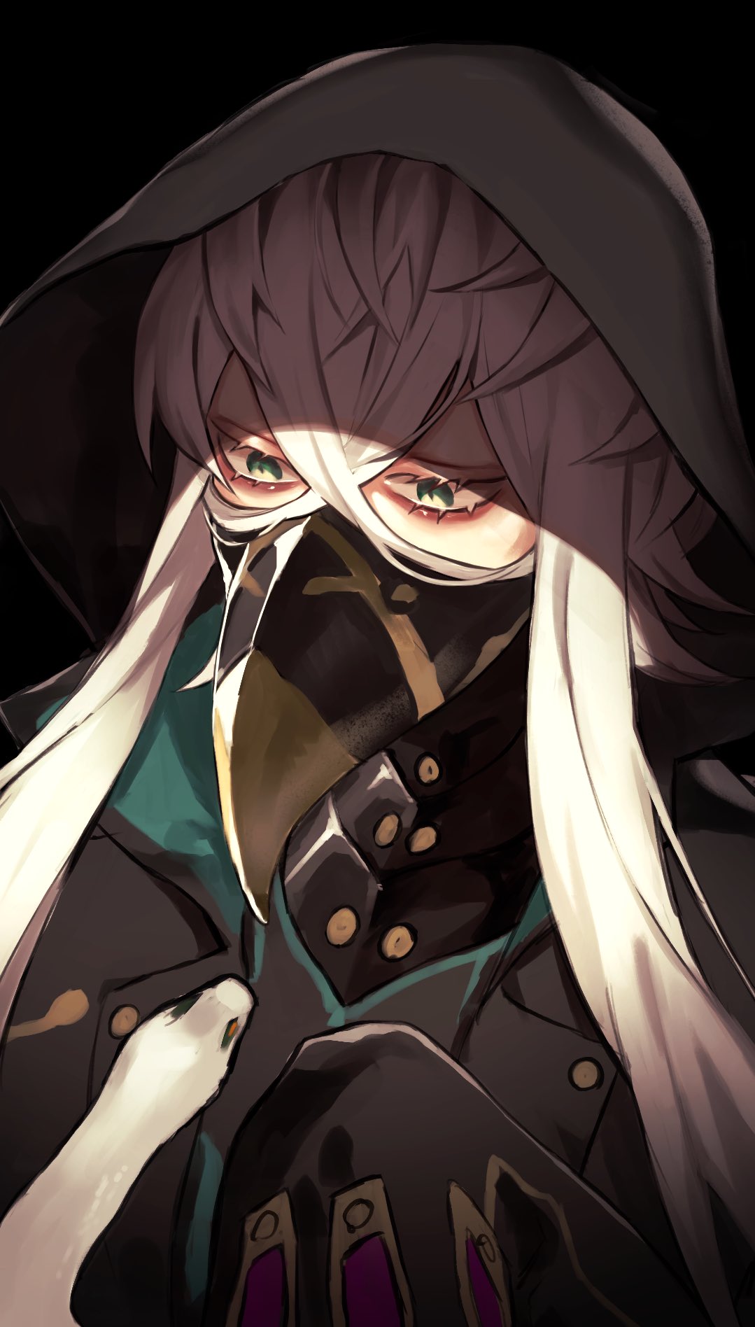 1boy asclepius_(fate/grand_order) bangs black_jacket commentary_request doctor fate/grand_order fate_(series) green_eyes hair_between_eyes highres hood hood_up hooded_jacket hoodie jacket long_hair male_focus mask plague_doctor_mask samuraisamurai simple_background sleeves_past_fingers sleeves_past_wrists snake solo upper_body