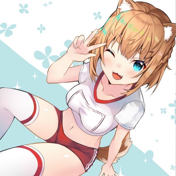 1girl ;d animal_ear_fluff animal_ears bare_arms blue_eyes braid breasts brown_hair collarbone crop_top dog_ears dog_girl dog_tail fang french_braid from_above gym_uniform hand_up looking_at_viewer medium_breasts midriff navel one_eye_closed open_mouth original red_shorts shirt short_hair short_shorts short_sleeves shorts sitting smile solo stomach tail thick_eyebrows thigh-highs thighs usagihime w white_legwear white_shirt