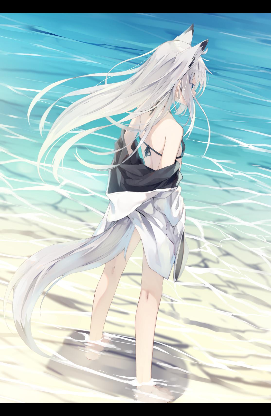 1girl animal_ears azur_lane bangs bikini blue_bikini blue_eyes breasts day floating_hair fox_ears fox_tail from_behind highres jacket kawakaze_(azur_lane) letterboxed long_hair looking_afar nagishiro_mito off_shoulder outdoors silver_hair small_breasts solo swimsuit tail wading white_jacket wind