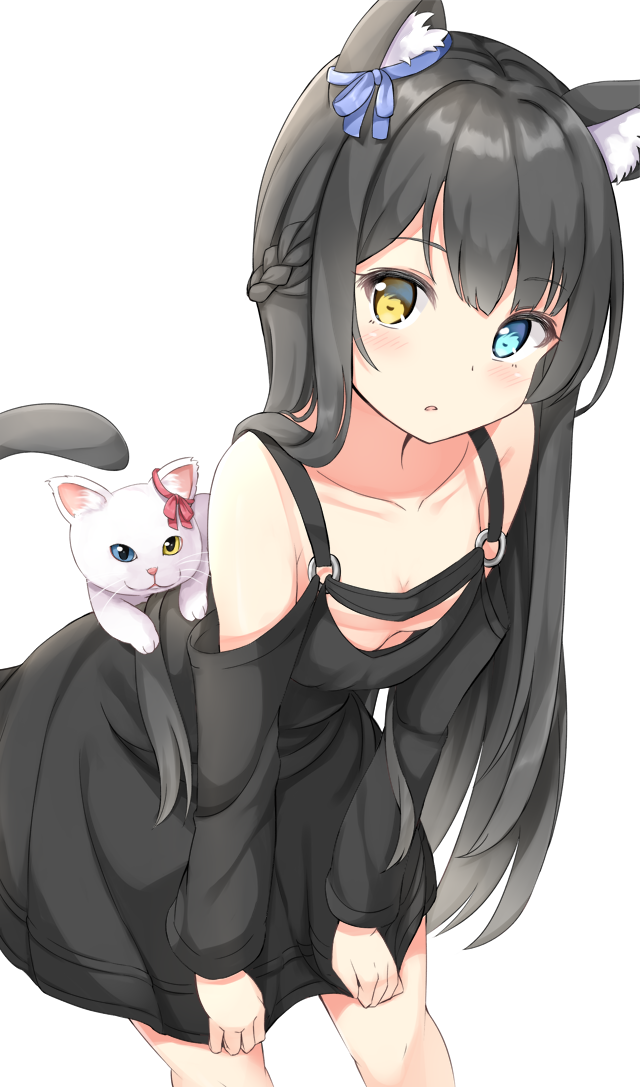 1girl animal animal_ear_fluff animal_ears bangs black_dress black_hair blue_bow blue_eyes blush bow braid breasts cat cat_ears cat_girl cat_tail collarbone commentary_request downblouse dress eyebrows_visible_through_hair hair_bow heterochromia keiran_(ryo170) leaning_forward long_hair long_sleeves looking_at_viewer o-ring original parted_lips shoulder_cutout simple_background small_breasts solo tail tail_raised very_long_hair white_background white_cat yellow_eyes