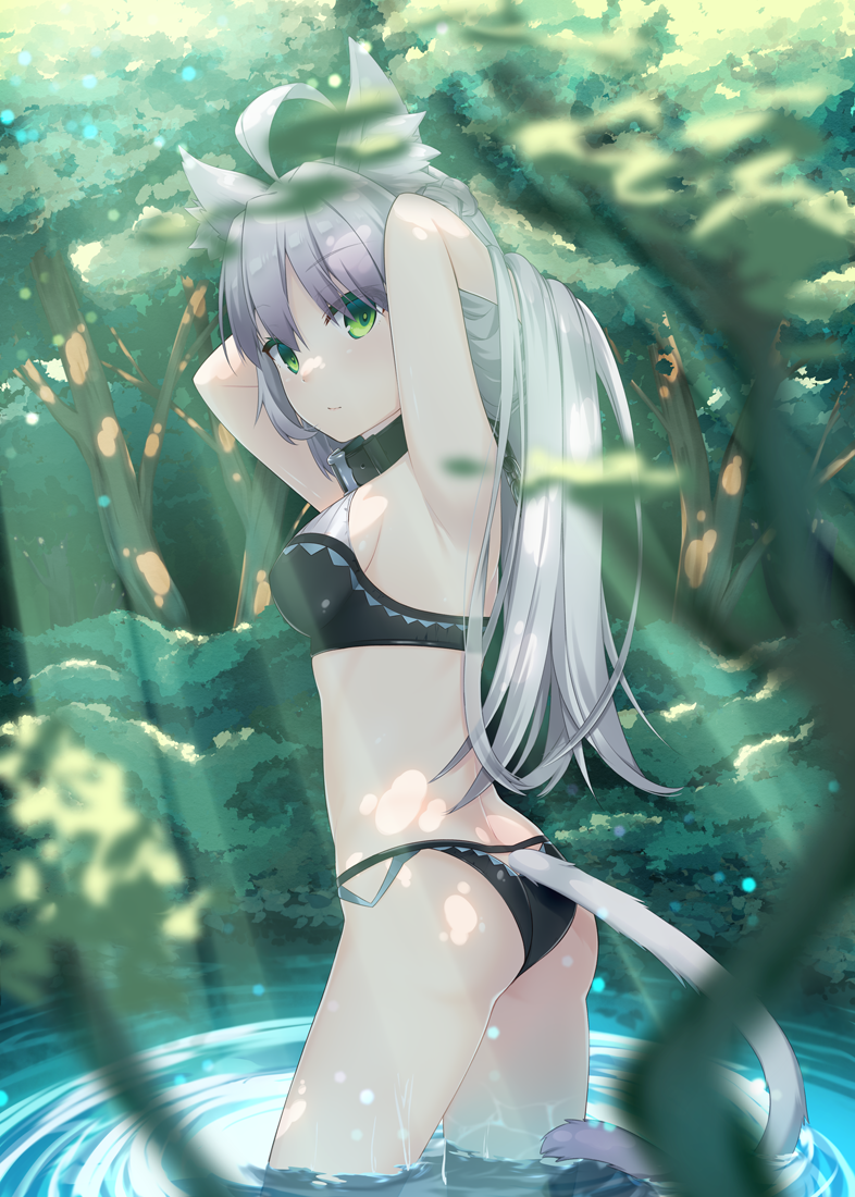 1girl ahoge akino_(1i1i1i1i) animal_ears arms_up atalanta_(alter)_(fate) atalanta_(fate) bangs bare_arms bare_shoulders belt_collar bikini black_bikini black_collar blurry blurry_foreground blush cat_ears cat_girl cat_tail closed_mouth collar commentary_request day depth_of_field eyebrows_visible_through_hair fate/grand_order fate_(series) forest green_eyes hair_between_eyes long_hair looking_away looking_to_the_side nature outdoors silver_hair solo standing swimsuit tail very_long_hair wading water