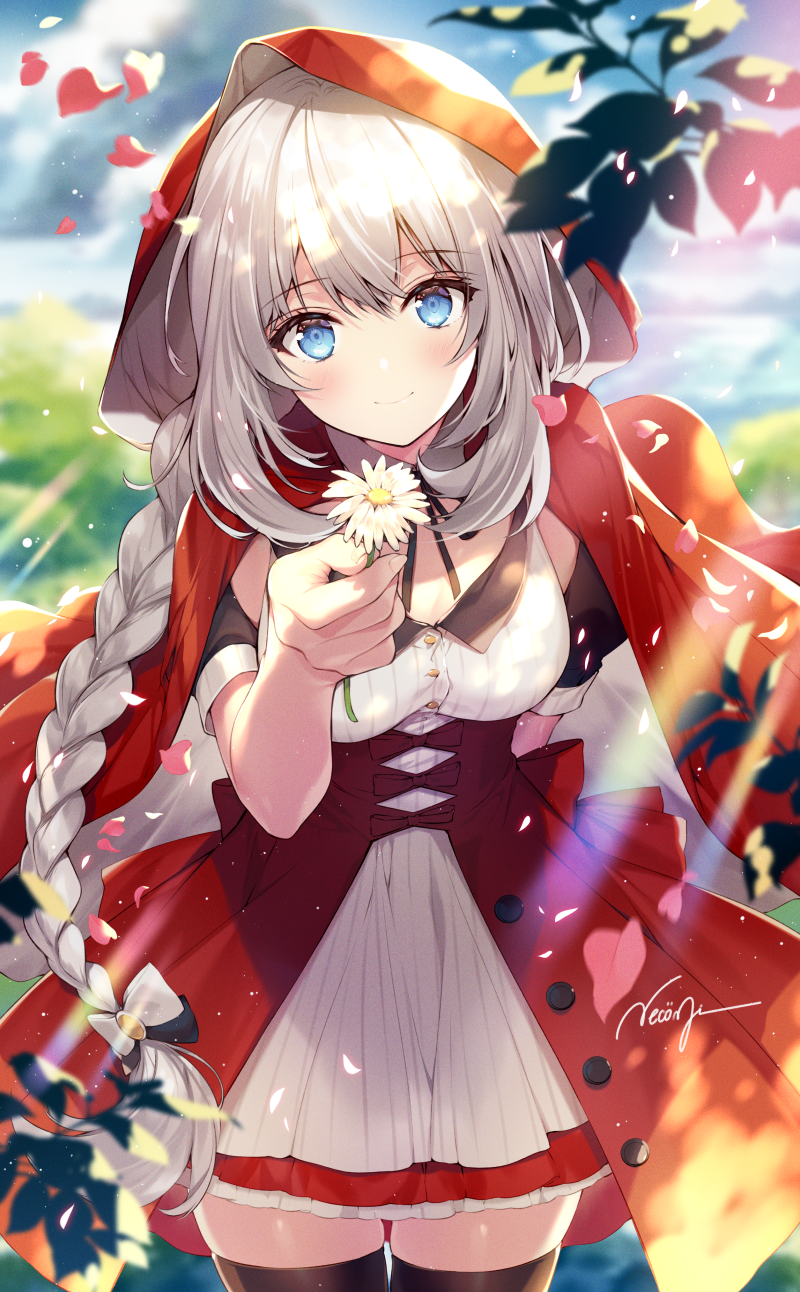 1girl black_legwear blue_eyes blurry braid breasts buttons cloak cowboy_shot day depth_of_field dress fate/grand_order fate_(series) flower highres holding holding_flower hood leaf leaves_in_wind little_red_riding_hood long_hair looking_at_viewer marie_antoinette_(fate/grand_order) medium_breasts necomi petals signature silver_hair single_braid smile solo standing sunlight thigh-highs very_long_hair white_dress white_flower zettai_ryouiki