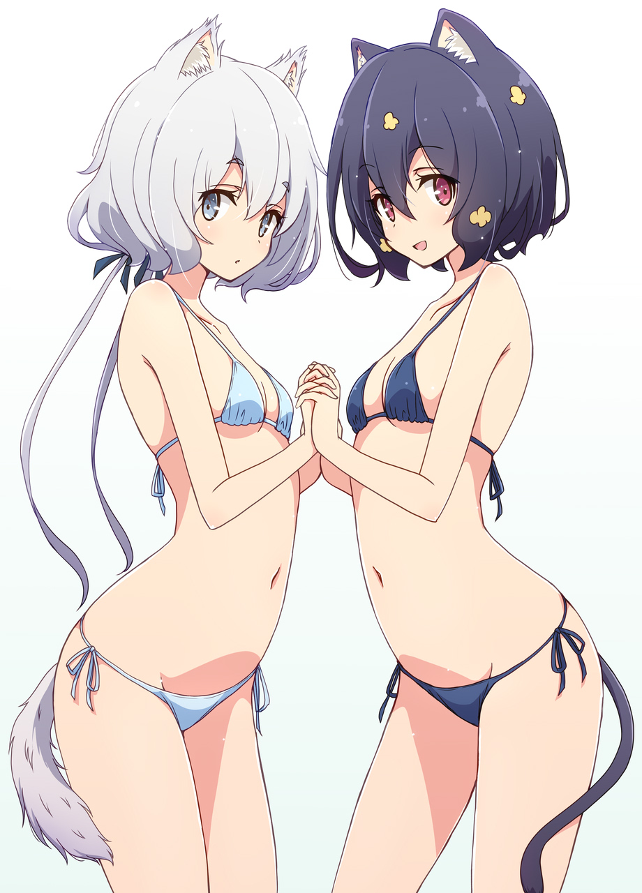 2girls animal_ear_fluff animal_ears bikini black_hair blue_bikini blue_eyes blush breasts cat_ears cat_tail eyebrows_visible_through_hair hair_between_eyes hair_ornament hair_ribbon highres interlocked_fingers kemonomimi_mode konno_junko long_hair looking_at_viewer low_twintails mel_(melty_pot) mizuno_ai multiple_girls navel open_mouth ribbon short_hair side-tie_bikini silver_hair simple_background small_breasts smile standing stomach swimsuit tail twintails zombie_land_saga