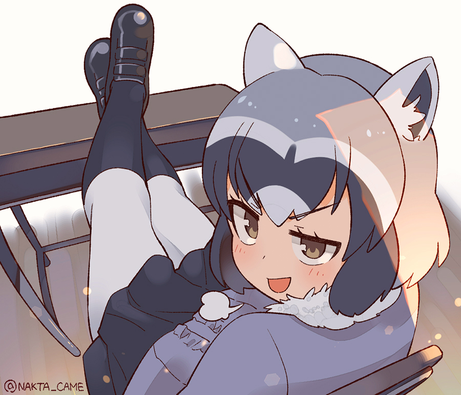 1girl :d =3 animal_ears black_footwear black_legwear blush brown_hair common_raccoon_(kemono_friends) desk flats fur_trim grey_hair grey_shirt indoors jitome kemono_friends legs_on_table looking_at_viewer looking_back nakta open_mouth pantyhose raccoon_ears shirt smile solo spotted_hair white_legwear wooden_floor