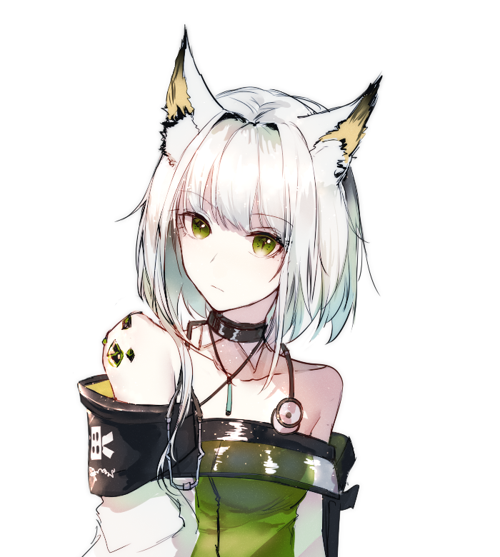 1girl animal_ear_fluff animal_ears arknights bangs bare_shoulders breasts closed_mouth detached_collar green_eyes kal'tsit looking_at_viewer see-through short_hair small_breasts solo stethoscope upper_body white_background white_hair windworker