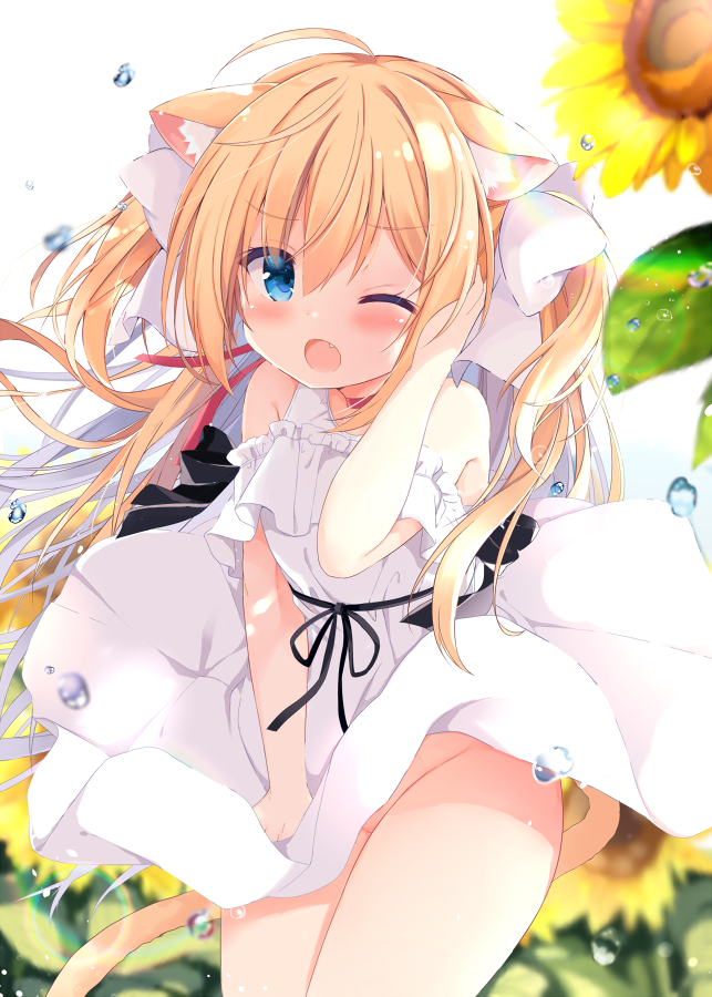 1girl ;o ahoge animal_ear_fluff animal_ears bangs bare_shoulders blonde_hair blue_eyes blurry blurry_background blush bow cat_ears cat_girl cat_tail commentary_request depth_of_field dress eyebrows_visible_through_hair fang flower groin hair_between_eyes hair_bow hand_up kujou_danbo long_hair no_panties one_eye_closed open_mouth original sidelocks sleeveless sleeveless_dress solo sunflower tail two_side_up very_long_hair water_drop white_bow white_dress wind wind_lift yellow_flower