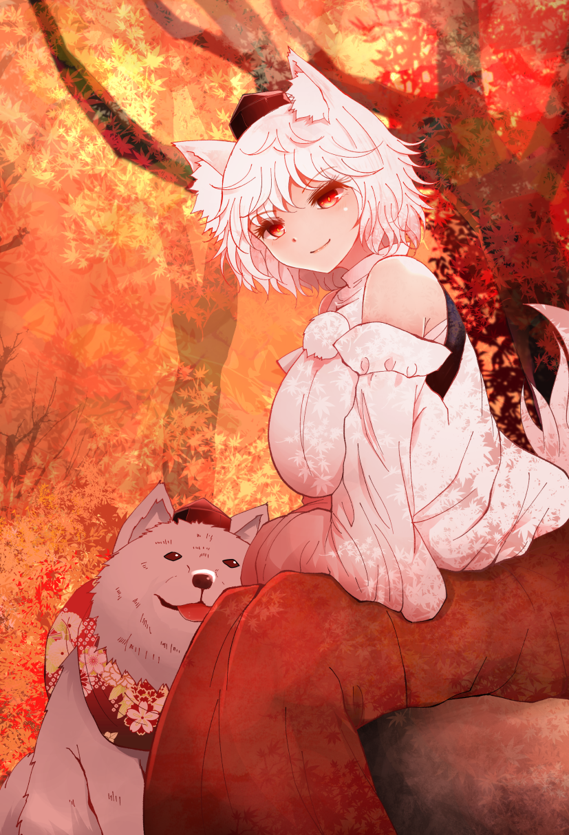 1girl animal animal_ear_fluff animal_ears arano_oki arm_rest autumn_leaves bandages bangs bare_shoulders breasts closed_mouth commentary_request detached_sleeves dog eyebrows_visible_through_hair eyelashes graphite_(medium) hat highres huge_breasts inubashiri_momiji leaf leaning_forward long_skirt looking_at_viewer maple_leaf pom_pom_(clothes) red_eyes red_skirt sarashi shirt short_hair sitting skirt sleeveless sleeveless_shirt smile solo_focus tail tokin_hat touhou traditional_media white_hair white_shirt wolf_ears wolf_tail