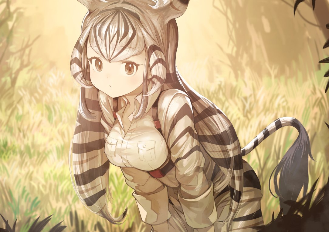 1girl animal_ears animal_print black_hair breast_pocket chapman's_zebra_(kemono_friends) collared_shirt commentary_request cowboy_shot extra_ears eyebrows_visible_through_hair foliage grass hands_on_own_knees harness kemono_friends khakis koruse long_hair long_sleeves looking_at_viewer multicolored_hair pocket print_shirt print_shorts shirt short_hair shorts sidelocks sleeves_rolled_up solo very_long_hair white_hair zebra_ears zebra_print zebra_tail