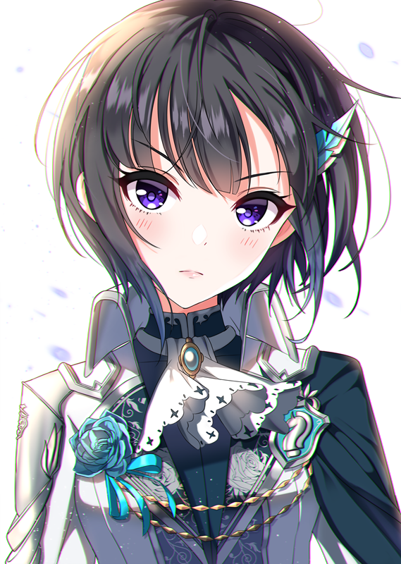 &gt;:( 1girl ascot bangs black_hair black_jacket blue_flower blue_rose blush brooch closed_mouth commentary_request eyebrows_visible_through_hair flower hair_ornament idolmaster idolmaster_cinderella_girls idolmaster_cinderella_girls_starlight_stage jacket jewelry light_frown looking_at_viewer rose shirayuki_chiyo short_hair simple_background solo sutoroa upper_body v-shaped_eyebrows violet_eyes white_background white_jacket white_neckwear