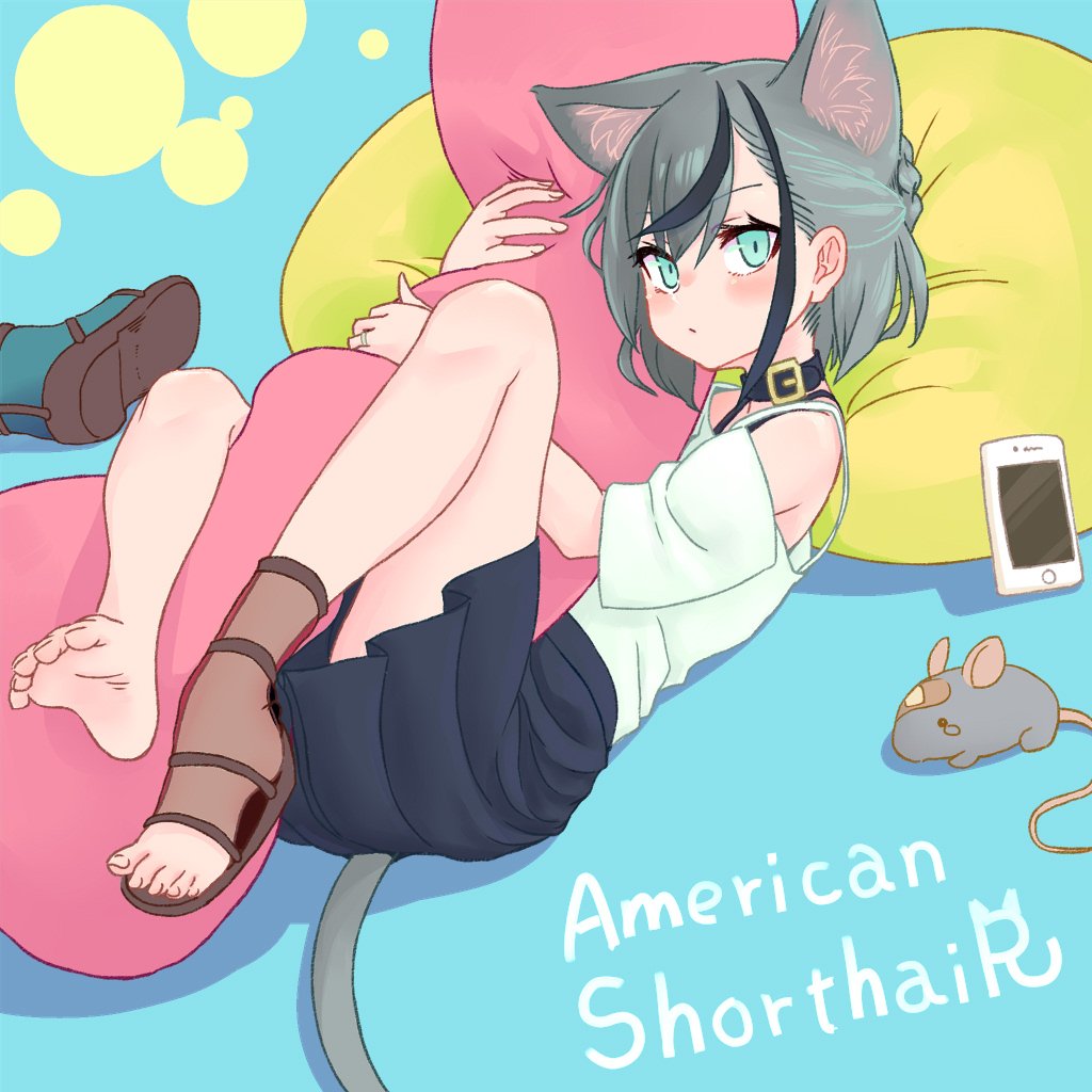 1girl animal animal_ear_fluff animal_ears aqua_eyes bandaid cat_ears cat_tail cellphone collar commentary_request expressionless full_body grey_hair hollow_7th mouse multicolored_hair original phone pillow pillow_hug pleated_skirt shirt shoe_removed shoes short_hair single_shoe skirt smartphone streaked_hair tail