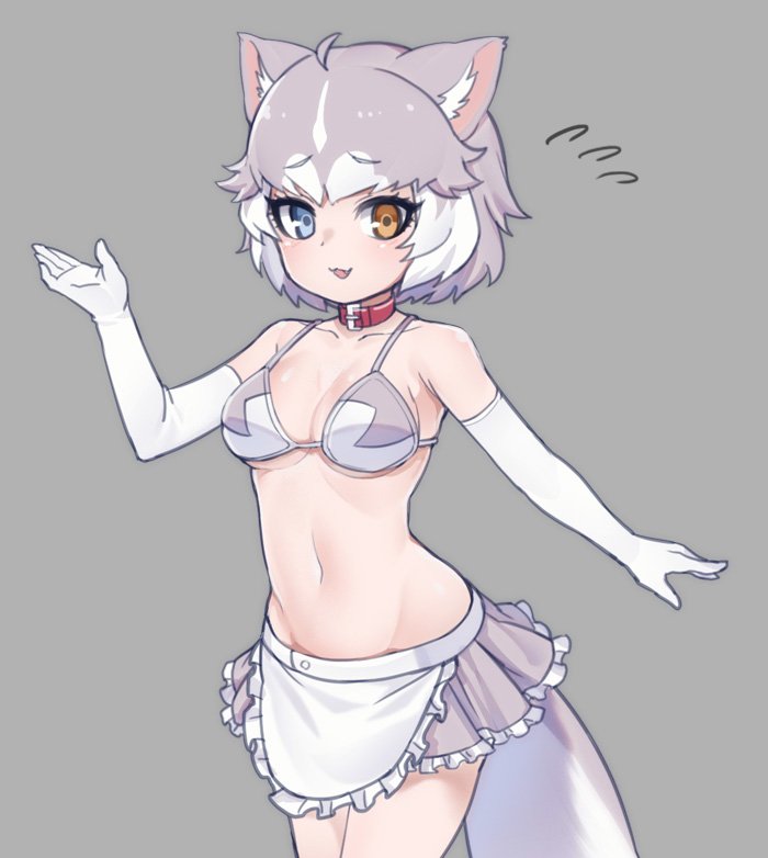 1girl :d adapted_costume animal_ears apron bangs bare_shoulders bikini_top blue_eyes breasts collar collarbone cowboy_shot dog_(mixed_breed)_(kemono_friends) dog_ears dog_tail elbow_gloves eyebrows_visible_through_hair fang flying_sweatdrops frilled_apron frilled_skirt frills gloves grey_background grey_hair grey_skirt heterochromia kemono_friends looking_at_viewer medium_breasts multicolored_hair navel nyifu open_mouth short_hair simple_background skirt smile solo stomach tail two-tone_hair waist_apron white_gloves white_hair yellow_eyes