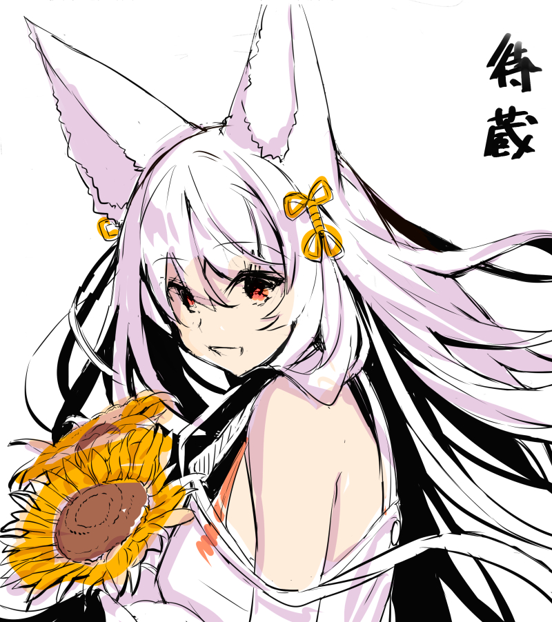 1girl :d animal_ear_fluff animal_ears bangs bare_shoulders dress eyebrows_visible_through_hair floating_hair flower fox_ears hair_between_eyes hair_ornament long_hair off-shoulder_dress off_shoulder open_mouth orange_flower original red_eyes simple_background smile solo sunflower translated very_long_hair white_background white_dress white_hair yuuji_(yukimimi)