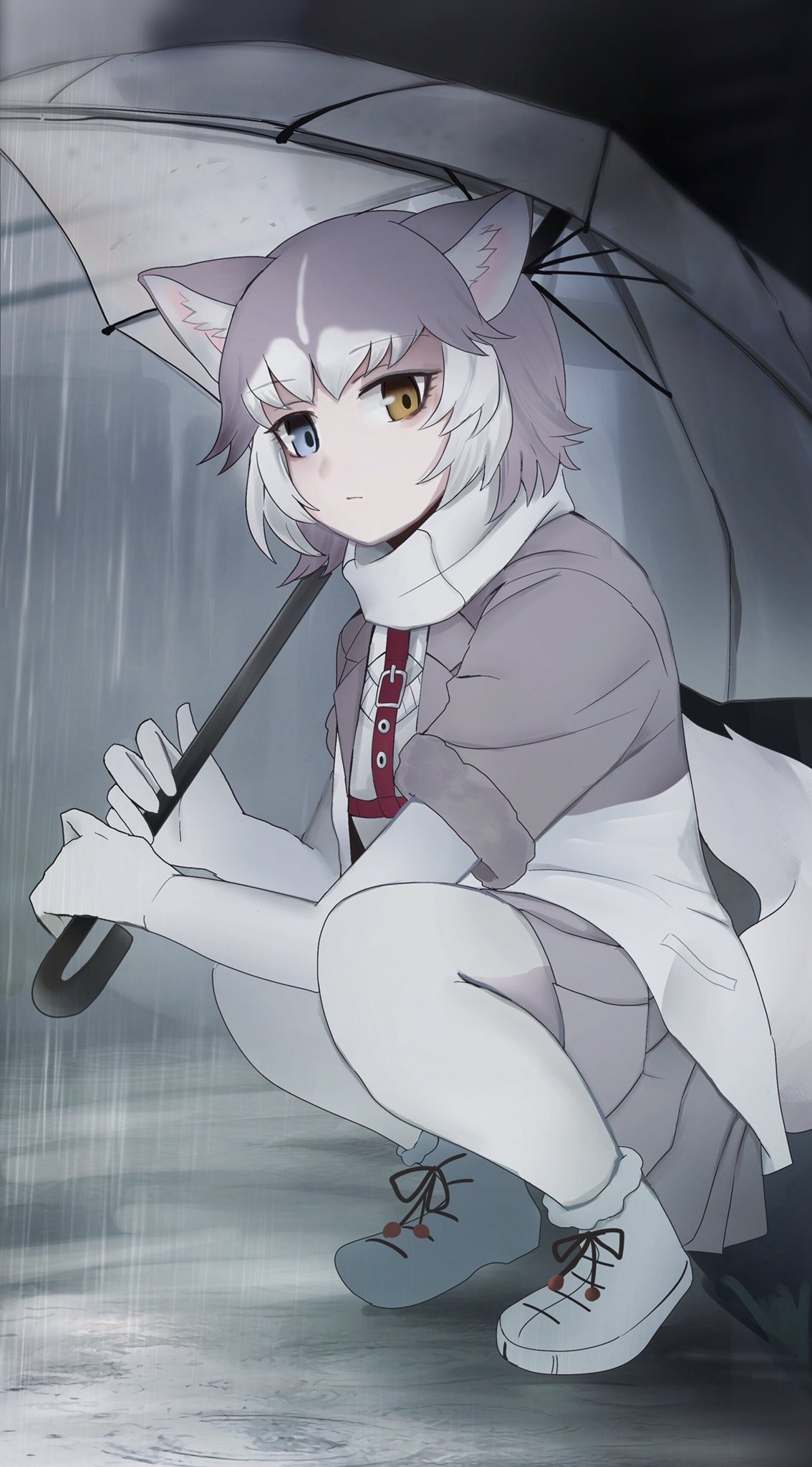 1girl animal_ear_fluff animal_ears blue_eyes commentary_request dog_(mixed_breed)_(kemono_friends) dog_ears dog_tail elbow_gloves eyebrows_visible_through_hair gloves grey_hair grey_jacket grey_legwear grey_skirt harness heterochromia highres jacket kemono_friends looking_at_viewer multicolored_hair pantyhose pleated_skirt rain scarf short_hair short_sleeves shou_goi skirt solo squatting sweater tail two-tone_jacket umbrella white_gloves white_hair white_jacket white_sweater yellow_eyes