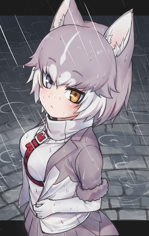 1girl :&lt; animal_ears blue_eyes blush breasts brown_eyes closed_mouth dog_(mixed_breed)_(kemono_friends) dog_ears dog_tail elbow_gloves eyebrows_visible_through_hair gloves grey_hair grey_skirt heterochromia kemono_friends looking_at_viewer medium_breasts multicolored_hair nyifu puddle rain short_hair short_sleeves skirt solo tail two-tone_hair white_gloves white_hair