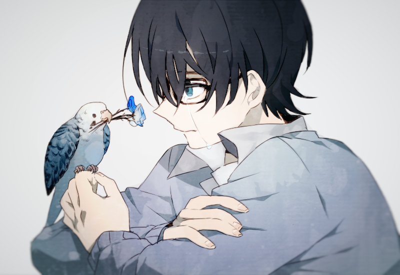 1boy bird bird_on_finger black-framed_eyewear black_hair blue_eyes blue_flower blue_theme closed_mouth collared_shirt crossed_arms crying crying_with_eyes_open fingernails flower flower_in_mouth glasses grey_background grey_sweater grey_theme hair_over_one_eye holding holding_flower long_sleeves looking_at_animal male_focus newo_(shinra-p) original pale_skin parakeet profile shiny shiny_hair shirt simple_background sweater tears upper_body