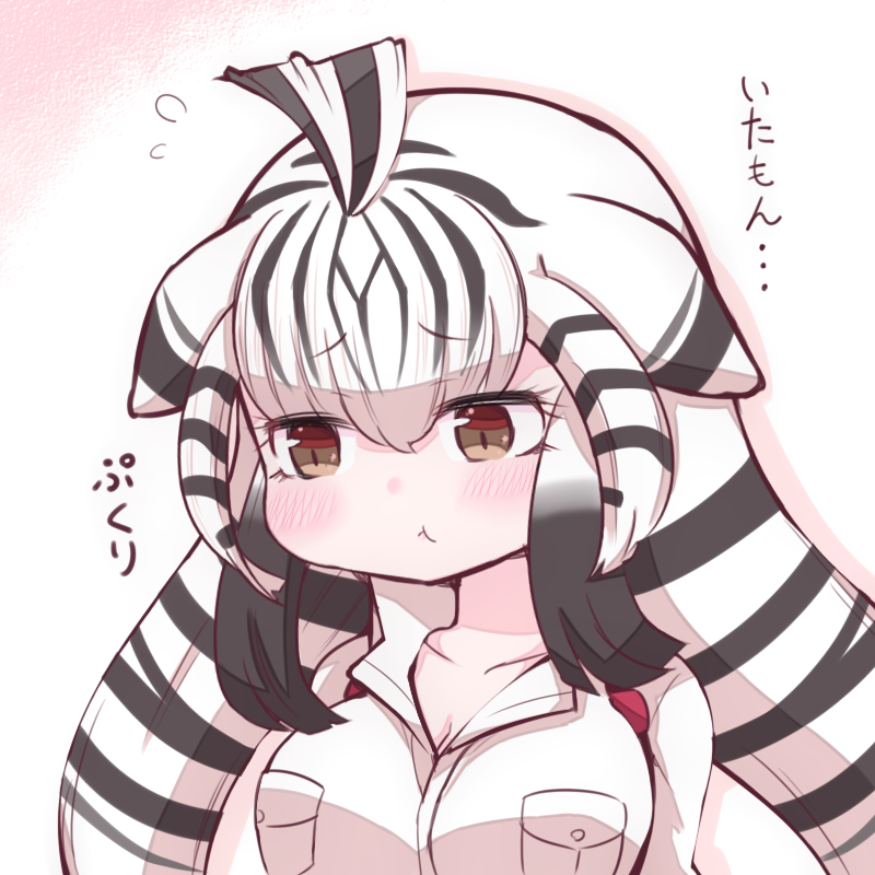 1girl :t ahoge bangs black_hair blush breast_pocket brown_eyes chapman's_zebra_(kemono_friends) collarbone commentary hair_between_eyes jacket kemono_friends long_hair looking_away looking_down mahe_(hammerdskd) multicolored_hair pocket pout simple_background solo translation_request two-tone_hair upper_body white_hair white_jacket