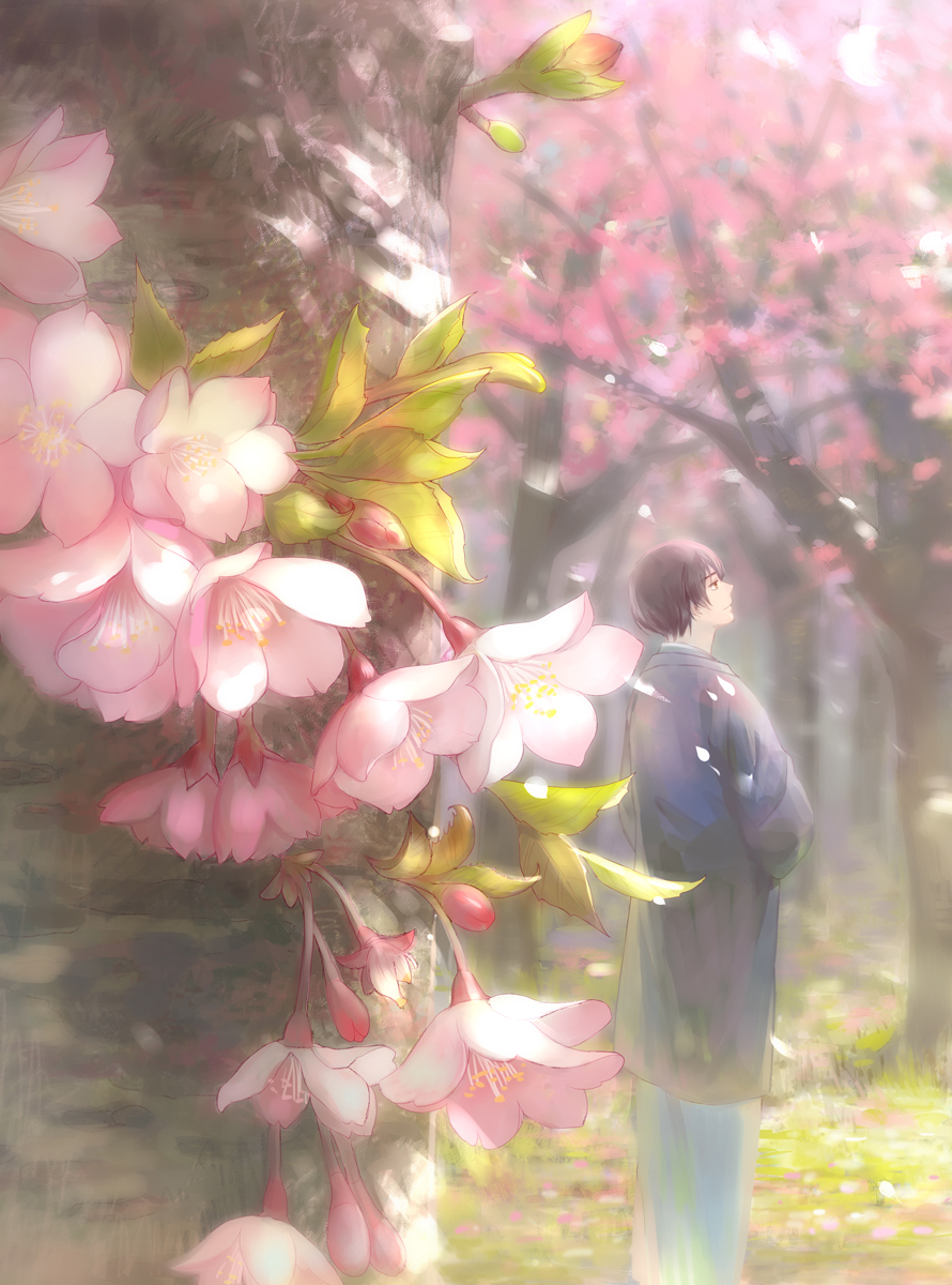 1boy axis_powers_hetalia bangs black_hair blurry cherry_blossoms day depth_of_field flower from_behind haori highres japan_(hetalia) japanese_clothes kanmuri_(hanyifan30338) kimono long_sleeves looking_up male_focus nature outdoors petals pink_flower profile smile solo spring_(season) standing tree