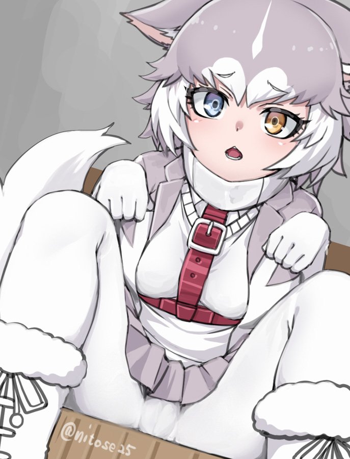 1girl animal_ear_fluff animal_ears bangs belt blue_eyes chestnut_mouth dog_(mixed_breed)_(kemono_friends) dog_ears dog_tail dutch_angle ears_down eyebrows_visible_through_hair gloves grey_hair grey_skirt heterochromia jacket kemono_friends looking_at_viewer multicolored_hair nyifu open_mouth pantyhose paw_pose pleated_skirt shirt sitting skirt solo spread_legs tail twitter_username two-tone_hair white_gloves white_hair white_legwear white_shirt yellow_eyes