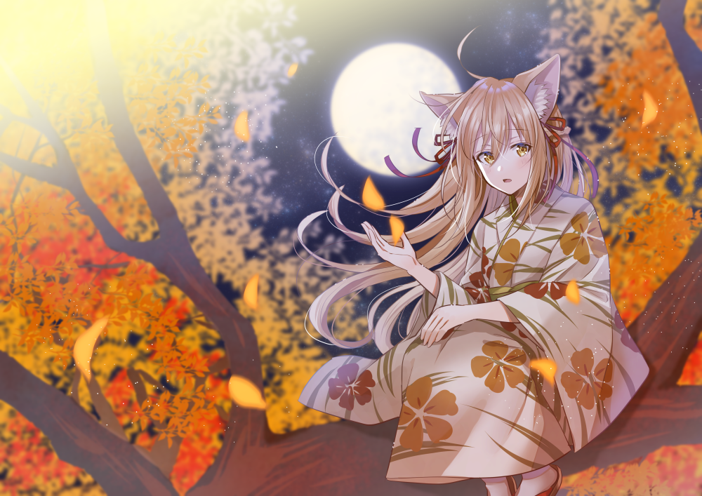 1girl ahoge animal_ear_fluff animal_ears autumn autumn_leaves blurry brown_eyes brown_hair brown_kimono commentary_request depth_of_field floating_hair floral_print fox_ears full_moon hair_ribbon japanese_clothes kimono leaf leaves_in_wind long_hair long_sleeves looking_at_viewer moon myusha night open_mouth original outdoors print_kimono ribbon sitting solo tree_branch wide_sleeves zouri