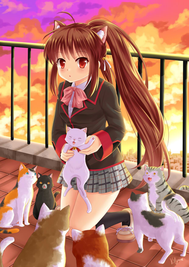 1girl animal animal_ear_fluff animal_ears black_cat black_jacket black_legwear blazer blush bow brown_footwear brown_hair cat cat_ears cityscape clouds cloudy_sky collared_shirt dress_shirt full_body grey_skirt holding holding_animal jacket kemonomimi_mode kneehighs kneeling little_busters!! long_hair looking_at_viewer natsume_rin outdoors parted_lips pink_bow pleated_skirt ponytail railing red_eyes rooftop school_uniform shirt shoes sidelocks signature skirt sky solo sunset very_long_hair villyane white_cat white_shirt