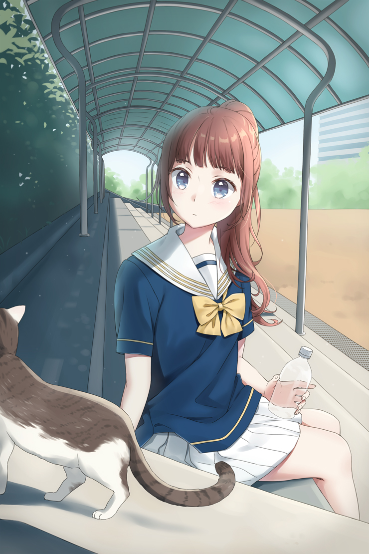 1girl bangs bench blue_eyes blurry bottle bow bowtie brown_hair building cat commentary depth_of_field expressionless holding holding_bottle looking_at_animal looking_to_the_side original pleated_skirt ponytail sailor_collar school_uniform serafuku short_sleeves sitting skirt skyscraper solo tree unya_(unya-unya) water_bottle white_sailor_collar white_skirt yellow_neckwear